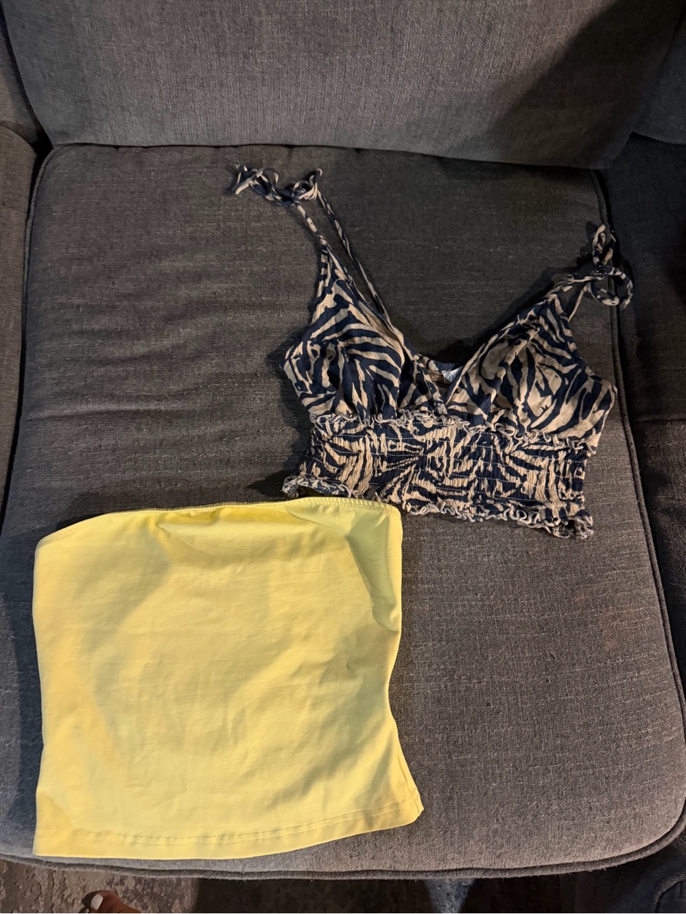 Women’s Zebra-Print Smocked Crop Top and Yellow Tube Top Set
